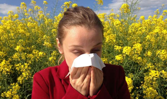 allergy poleni